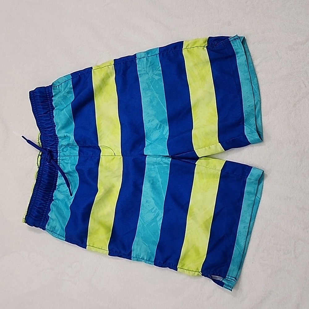 Boy's Blue And Green  Swimming Trunks L 10/12